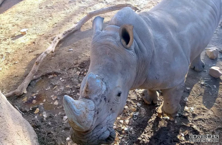 쳽ƽ̨,ѧëƳ˼Ϭţ